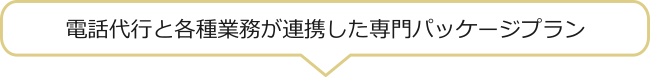 電話代行と各種業務が連動した専門パッケージプラン