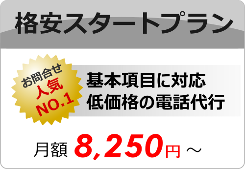 格安スタートプラン